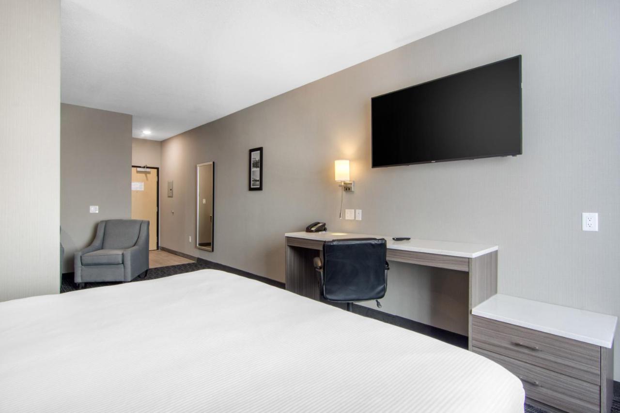 Comfort Inn & Suites North Battleford Exterior photo